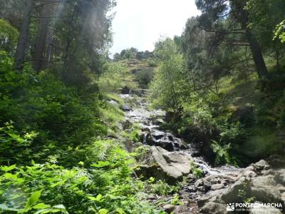 Mojonavalle - Sestil de Maillo: Bosques de Canencia;parque nacional ordesa y monte perdido nuria gir